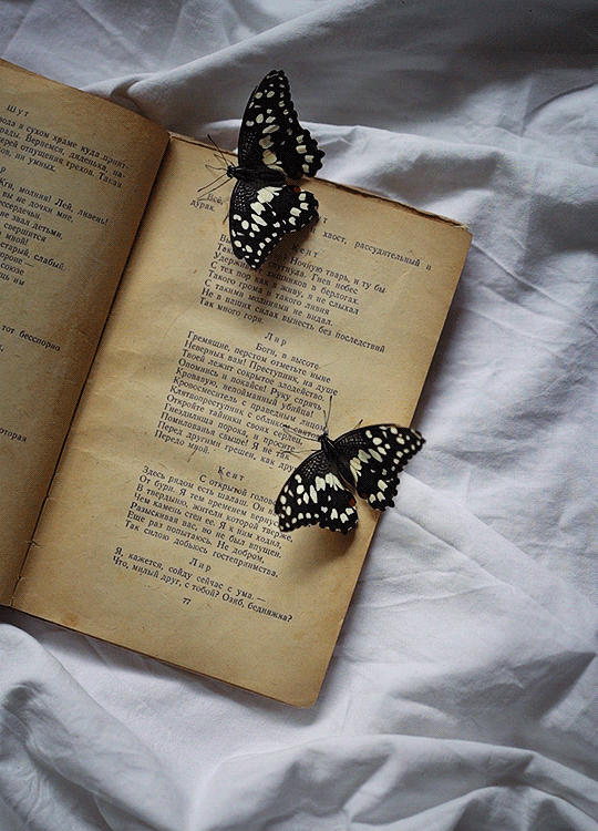 Histórias de borboletas